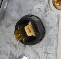 pt profile ter fan.gif